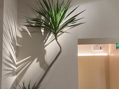 -青曼SPA·按摩·采耳·足道(龙之梦店)