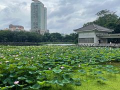 -荔湾湖公园