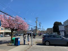 -Steveston Pizza Company (Richmond)