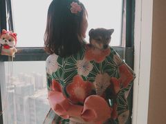 -柴犬小屋·柴餐厅·狗咖食堂(金鼎广场店)