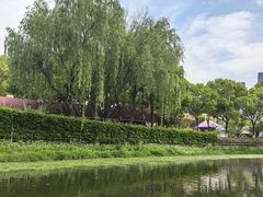 -新江湾城公园