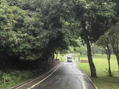 -莲花山公园