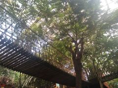 门面-呀路古热带植物园