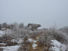 景点-王莽岭风景区