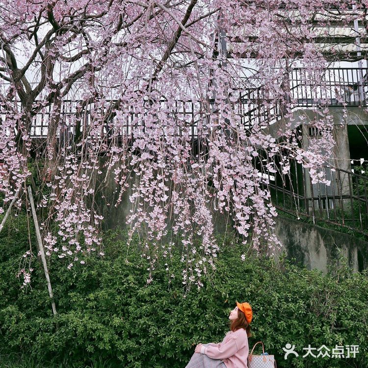 适合女生用的微单相机，拍人拍景太美了吧！