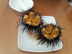 -海胆小馆(东北水饺·春柳店)