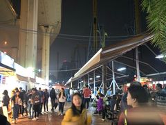 -锦江乐园舞狸花花游园会(夜场专享)