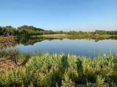 -东郊湿地公园