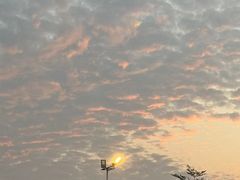 -椰小鸡·琼州糟粕醋·火锅(美兰缤纷城店)