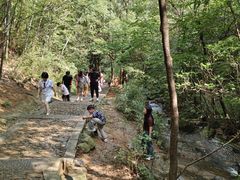 -蟹天蟹地农家菜·阳澄湖大闸蟹(浅水湾店)