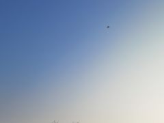 -重庆园博园