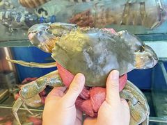 -喜记避风塘炒辣蟹(旗舰店)