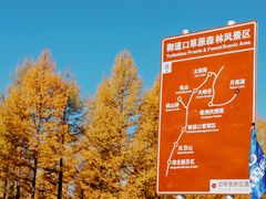 -御道口草原森林风景区