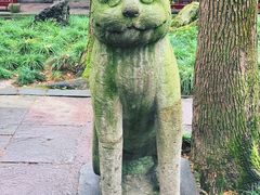 -天一阁博物院
