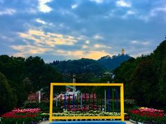 -南山植物园