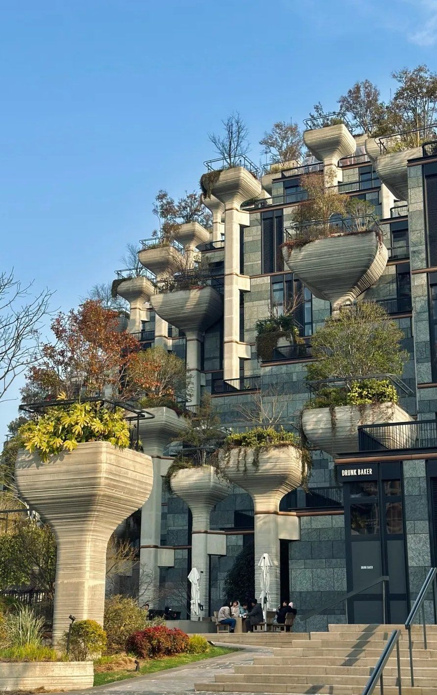 城市森林