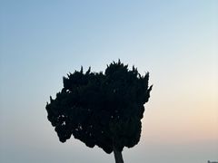 -青岛第一海水浴场