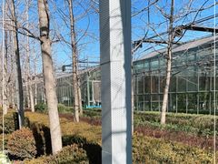 -南宫五洲植物乐园