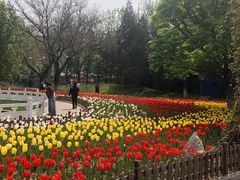 -丰台花园