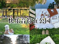 -成都南湖公园