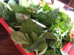 薄荷叶-钰洁腊排骨火锅