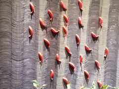 -小龙坎火锅(沂南店)