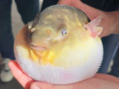 -永安鱼庄·镇江菜(东吴路店)