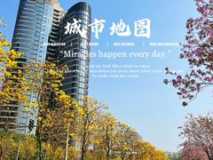 -洲头咀公园