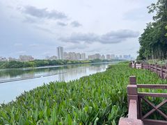 -南宁南湖公园