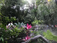 -呀诺达热带雨林