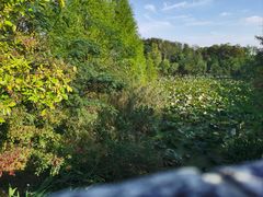 -昆山城市生态森林公园