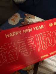 -汉石桥湿地童趣乐园