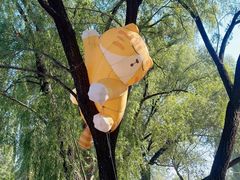 -林栖谷森林康养度假区