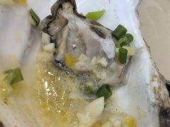 -北方饺子王·海肠捞饭·海鲜锅(山大店)