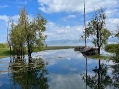 -洱海月湿地公园