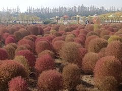 -嘉北郊野公园