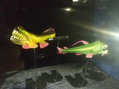 -同济大学四平路校区深海探索馆
