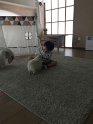 -西瓜庄园儿童摄影