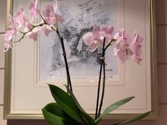 -文华扒房及酒吧(香港文华东方酒店)