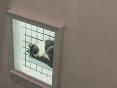 -娜娜家•Nana’Garden (福州道店)