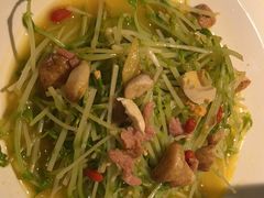 -田婆婆的菜(海口友谊阳光城店)