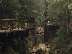 -永泰中国云顶