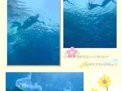 -涛·海底餐厅·美人鱼·自助餐·海底隧道(三亚海棠湾洲际度假酒店)