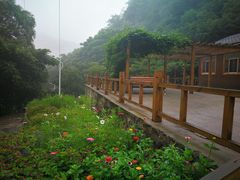 -大岭沟猕猴桃谷风景区