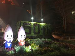 -东京塔海贼王主题公园