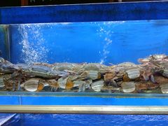 水产区-船梆煮•蒸汽海鲜·炉火烤肉(五四广场店)