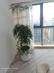 -HEYAN荷妍专业脱毛连锁机构
