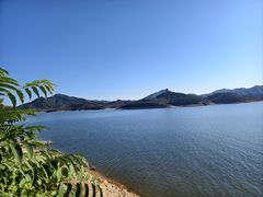 -望湖烤鱼