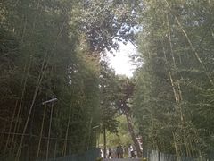 -红螺寺