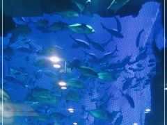 -成都浩海立方海洋公园